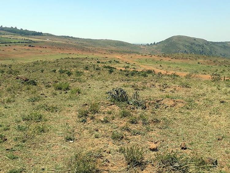 20,235 m² Land in Ndeiya