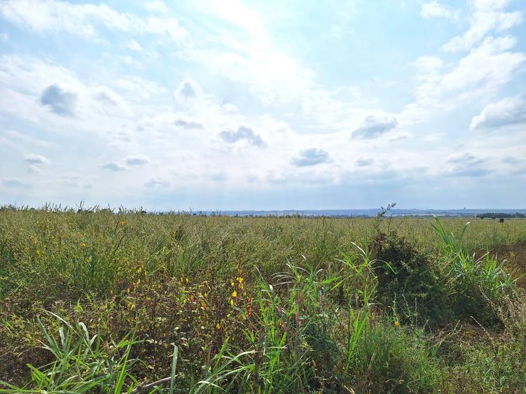 40 ac Land at Isinya