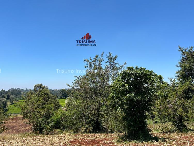 1.5 ac Land in Tigoni