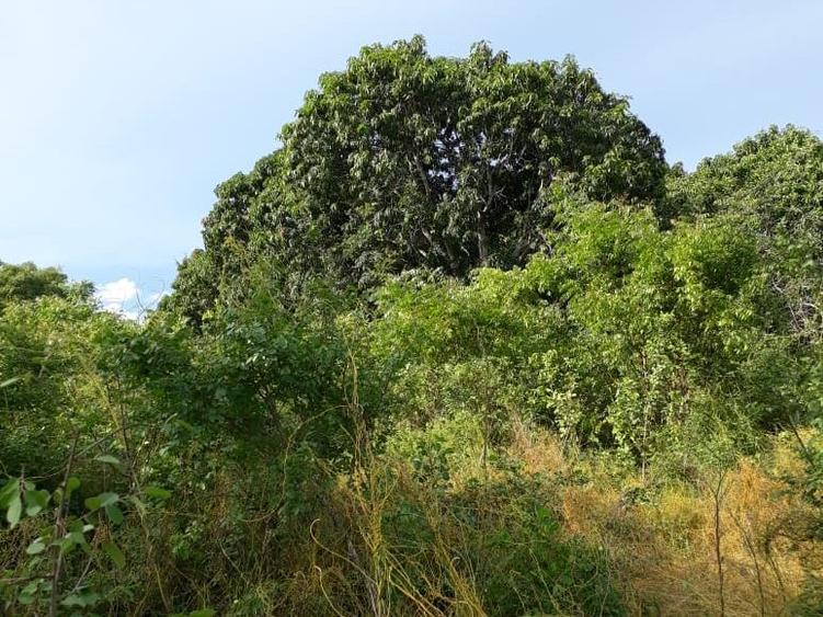 4,047 m² Commercial Land in Kilifi County