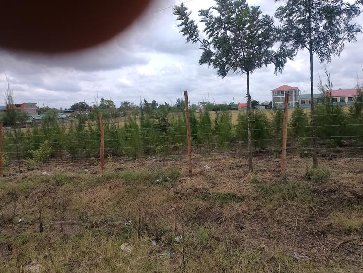 Land at Bisil Area Land at Bisil Area