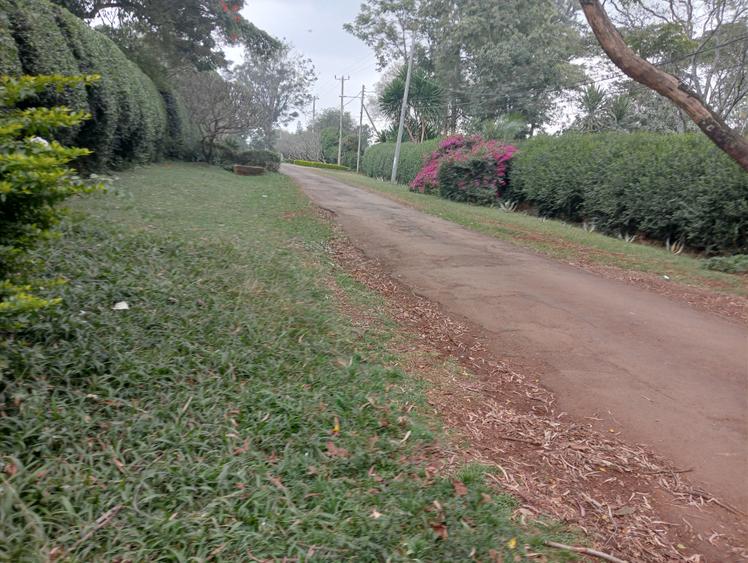 0.5 ac Land in Kitisuru 0.5 ac Land in Kitisuru
