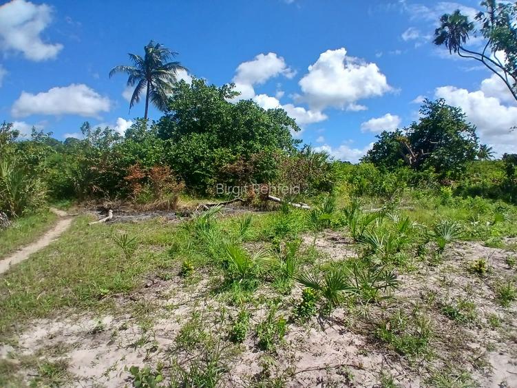 12.44 ac Land at Muhaka Road