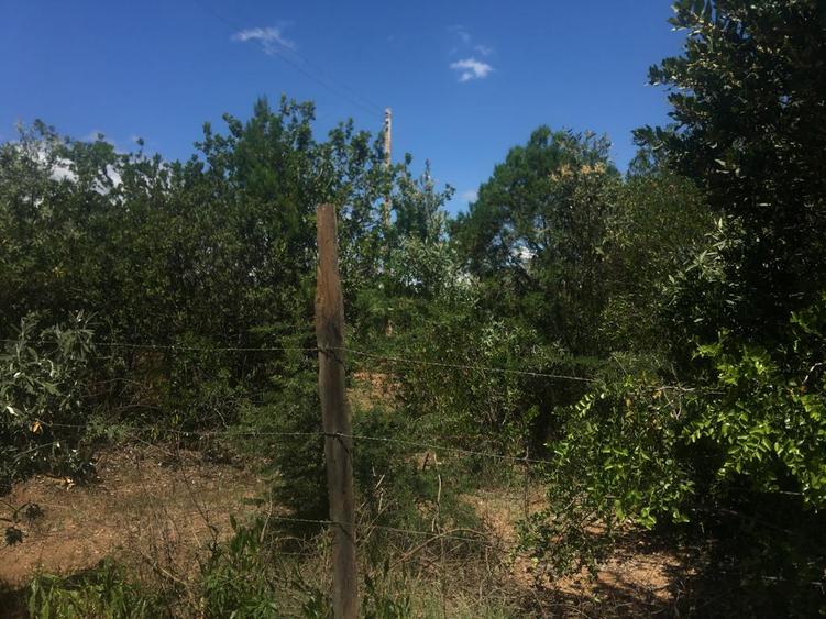 Residential Land at Narumoru-Kileleshwa