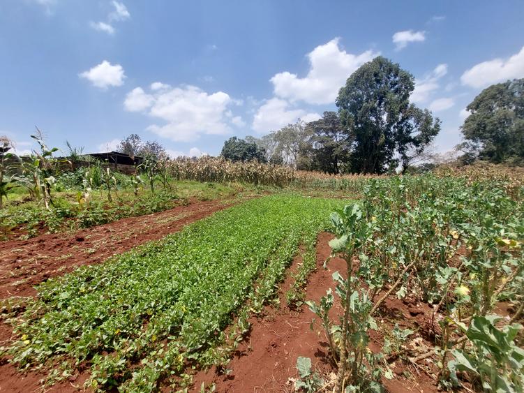 Residential Land at Kinanda Road