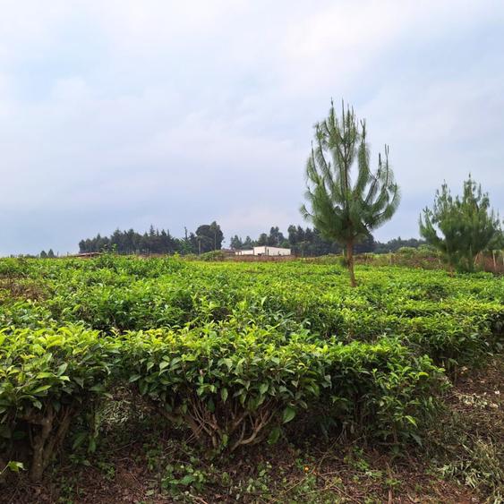 1 ac Land at Limuru Girls