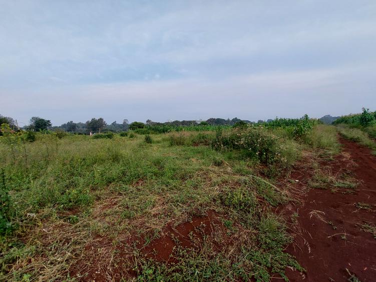 Residential Land at Kirawa Road