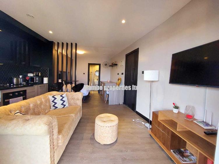 Serviced Studio Apartment with En Suite at Rhapta Rd