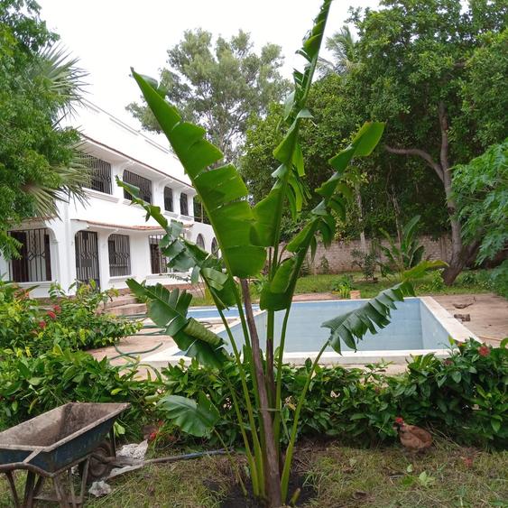 5 Bed Villa with En Suite at Galu