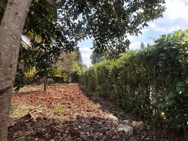 0.5 ac Residential Land at Muthithi Estate