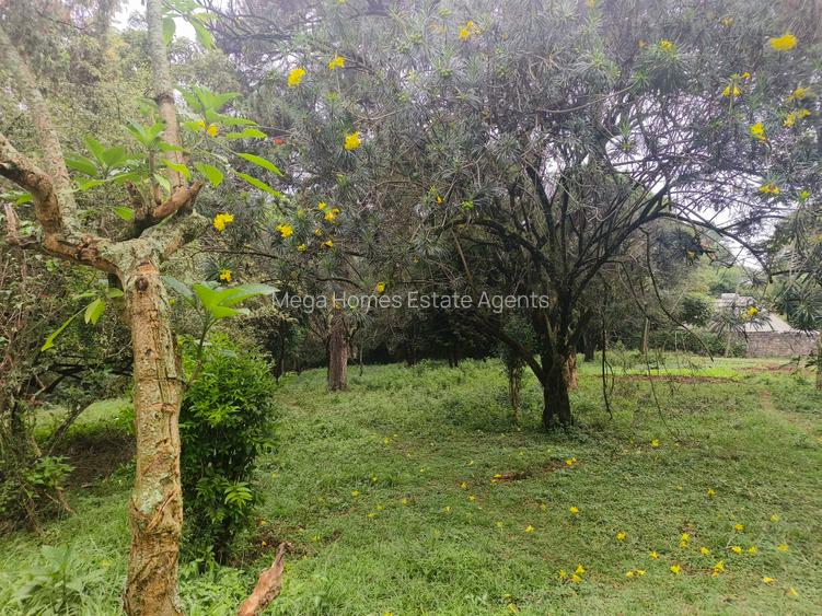 Residential Land in Kitisuru