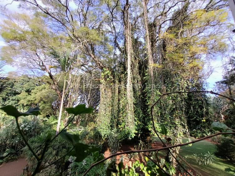 1 ac Land in Lavington