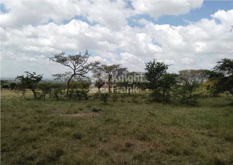 Land at Maanzoni