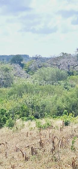 Land in Kilifi