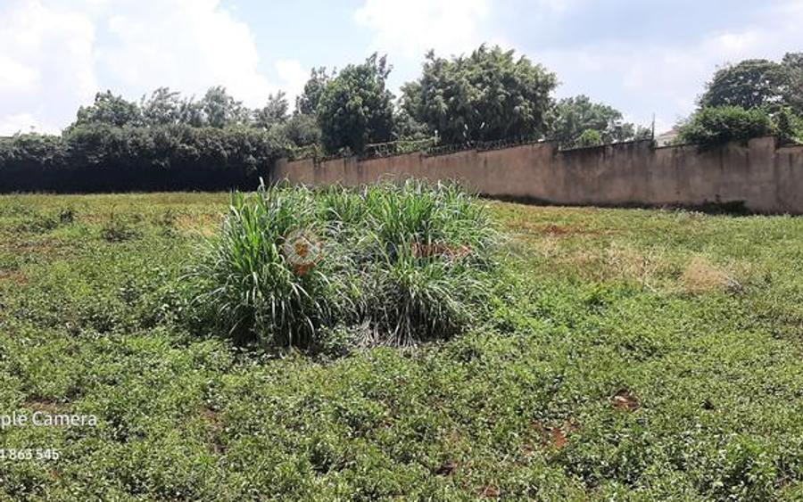 Residential Land at Runda Mumwe