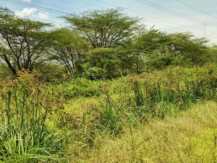 Land in Mombasa Road