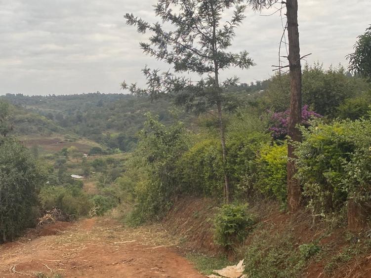0.5 ac Residential Land at Muthatari - View 2