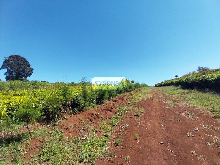 8 ac Land in Tigoni