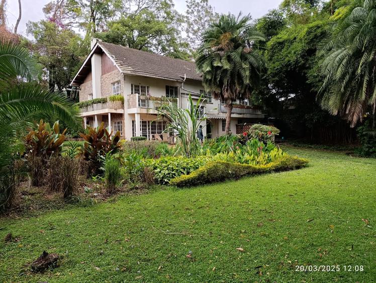 Commercial Property with Fibre Internet in Lavington Commercial Property with Fibre Internet in Lavington