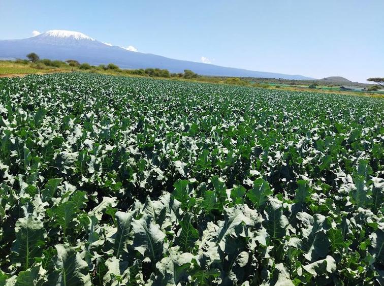 60 ac Land in Kajiado County