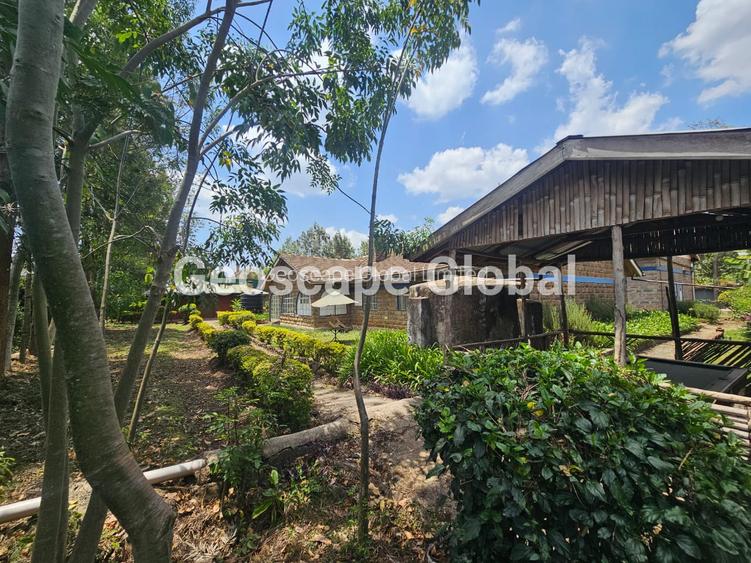 Commercial Property with Parking in Karen