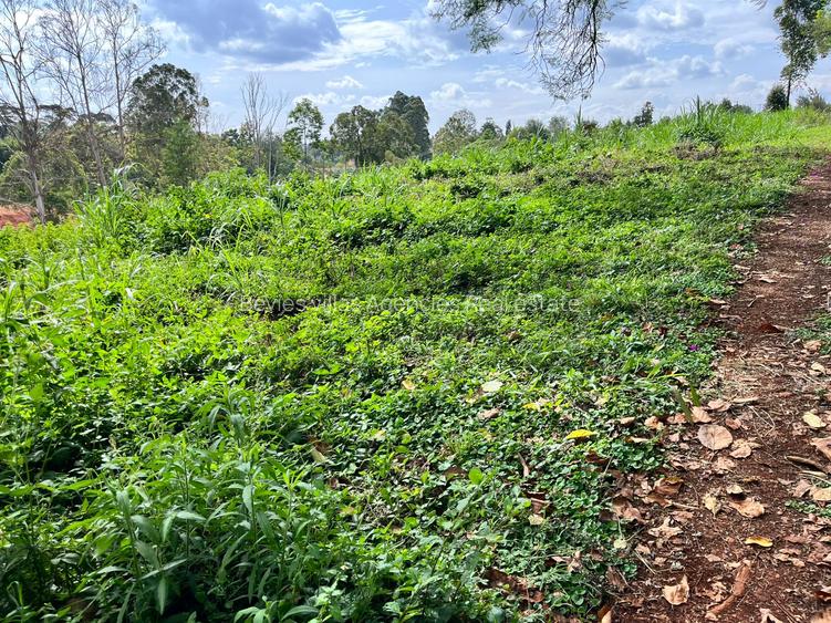 Residential Land at Westlands