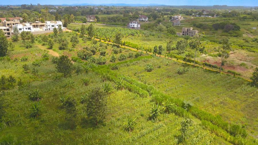 Residential Land in Thika