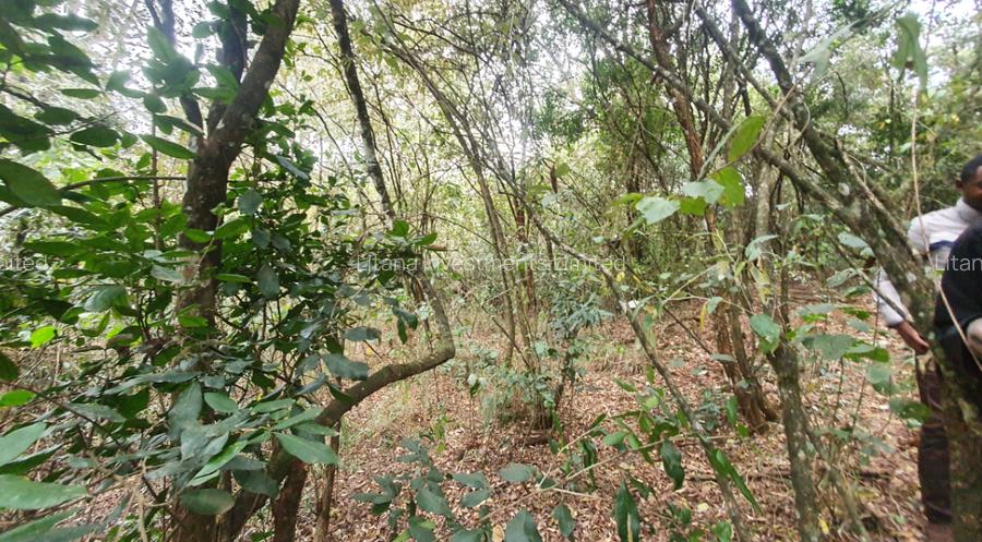 2 ac Land at Girrafe Center