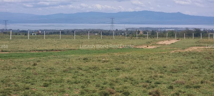Land at Lake Naivasha