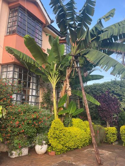 5 Bed Townhouse with En Suite in Ruaka