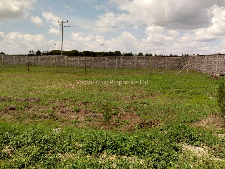Residential Land at Enkasiti