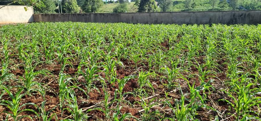 0.5 ac Land in Nyari - Aanzicht 2