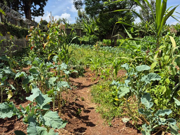 Residential Land in Kitisuru