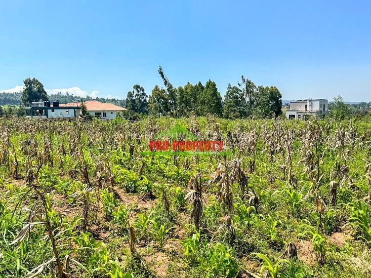 0.05 ha Residential Land at Kamangu