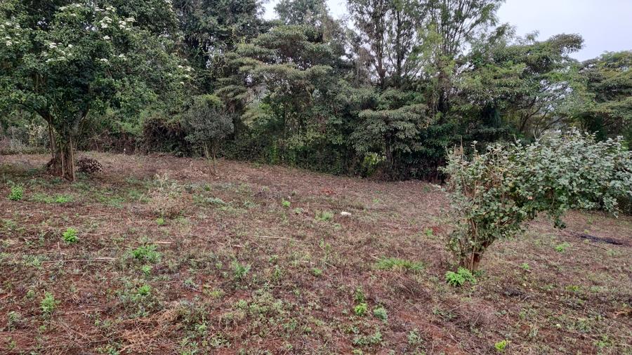 Residential Land in Langata