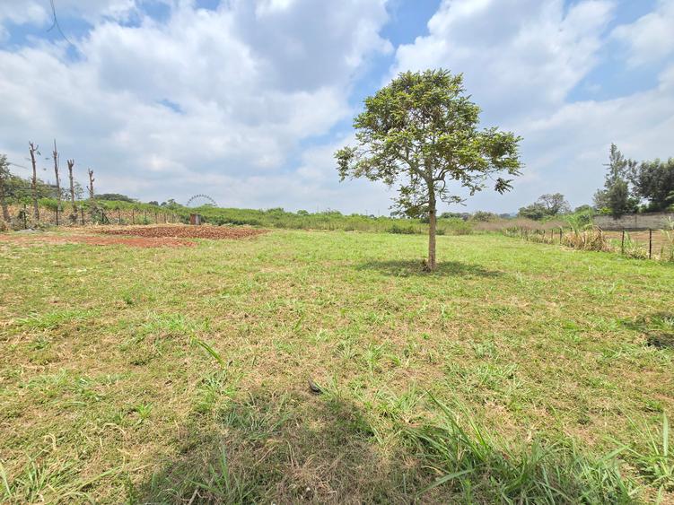 Residential Land at Runda Garden