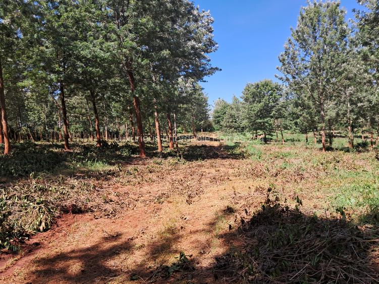 500 m² Residential Land in Tatu City