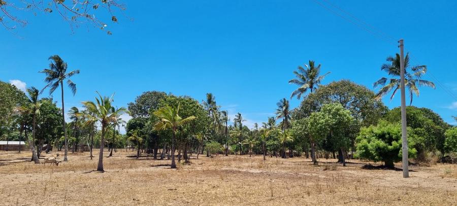 1 ac Land at Creek Beach Side