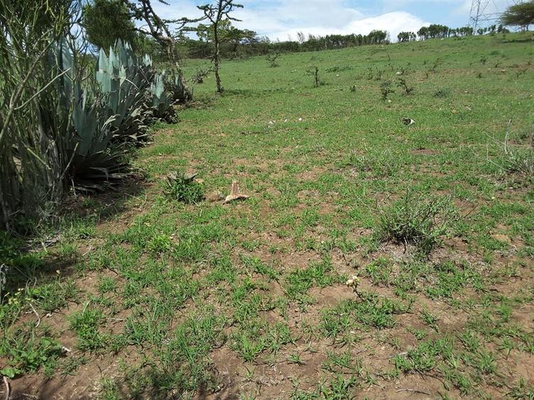 4 ac Residential Land in Kiserian