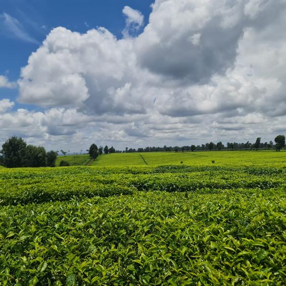 420 ac Land at Kiambu - View 3