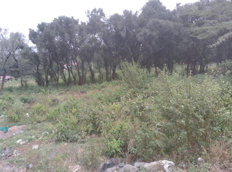 0.25 ac Residential Land at Maasai Lodge Road - Ansicht 5