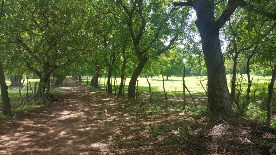 Commercial Land in Vipingo - View 2