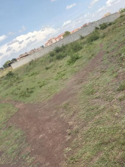 0.25 ac Commercial Property in Juja - Widok 2