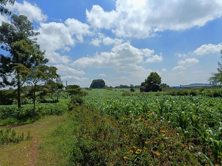 0.043 ha Land at Limuru Uplands