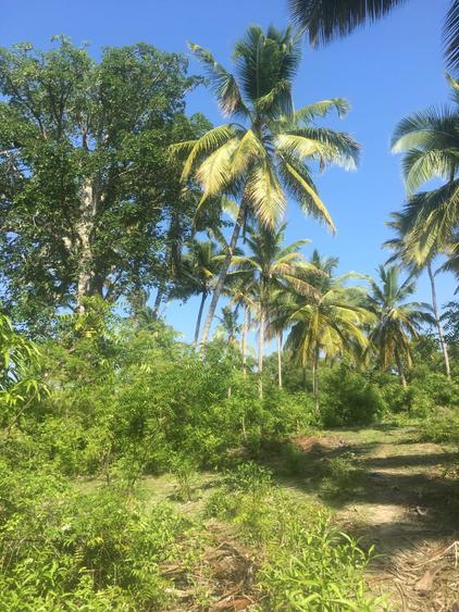 10,000 ft² Land at Nyali