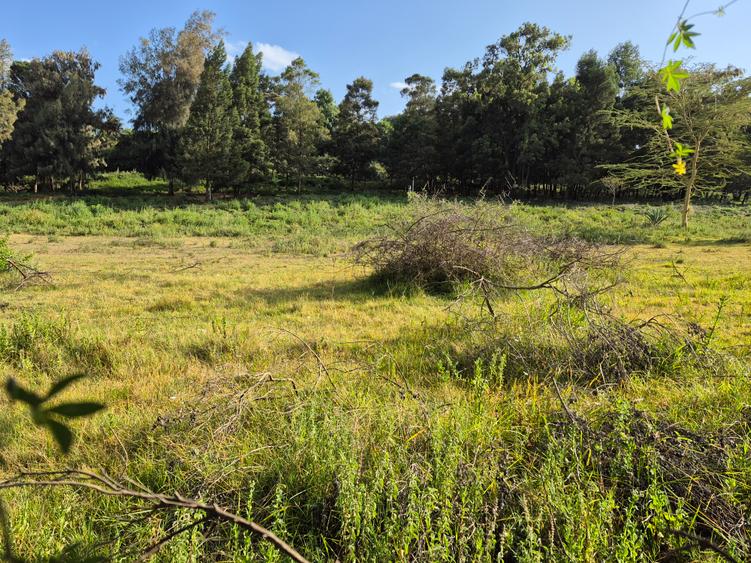 Residential Land in Karen