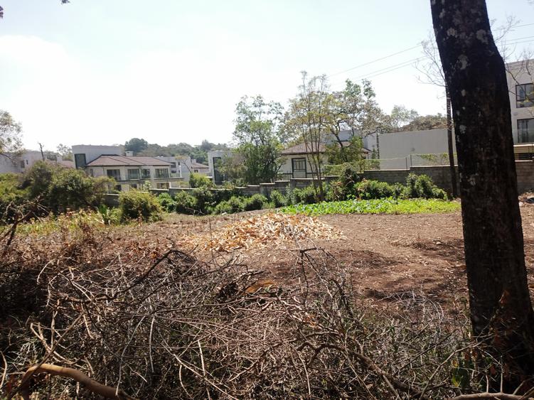 29 ac Land at Kaphis