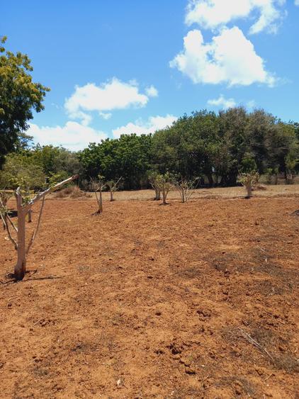 Land at Near Munarani