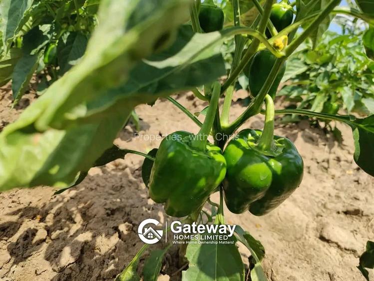 1 ac Land in Malindi