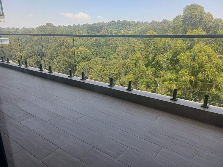 4 Bed Apartment with En Suite in Spring Valley 4 Bed Apartment with En Suite in Spring Valley